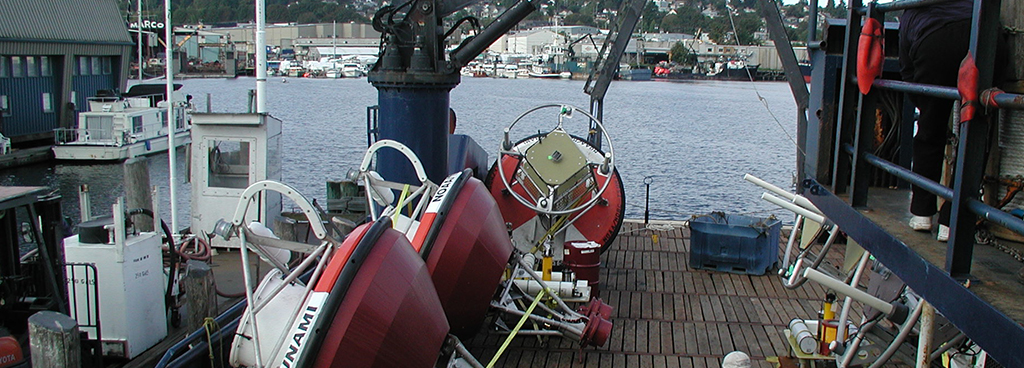 Survey Bouys